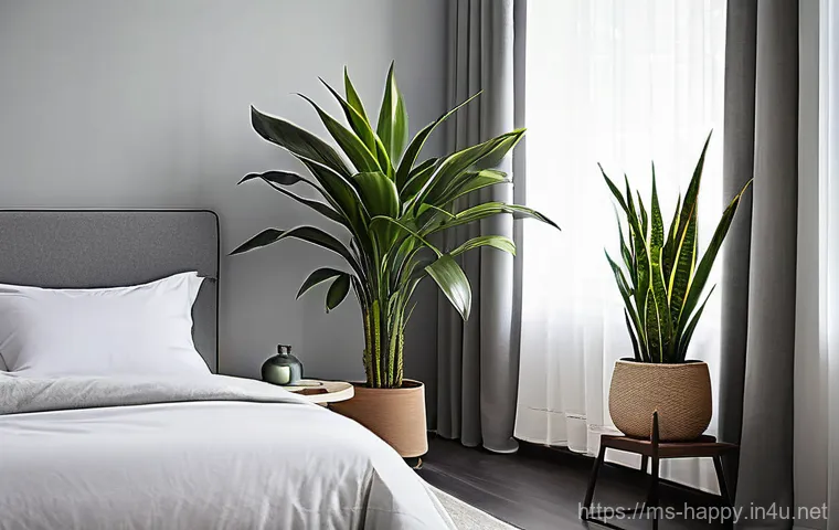 행복을 위한 환경 변화 - A tranquil and inviting reading nook, bathed in soft, natural sunlight streaming through a large win... 행복을 위한 환경 변화 - A tranquil and inviting reading nook, bathed in soft, natural sunlight streaming through a large win...